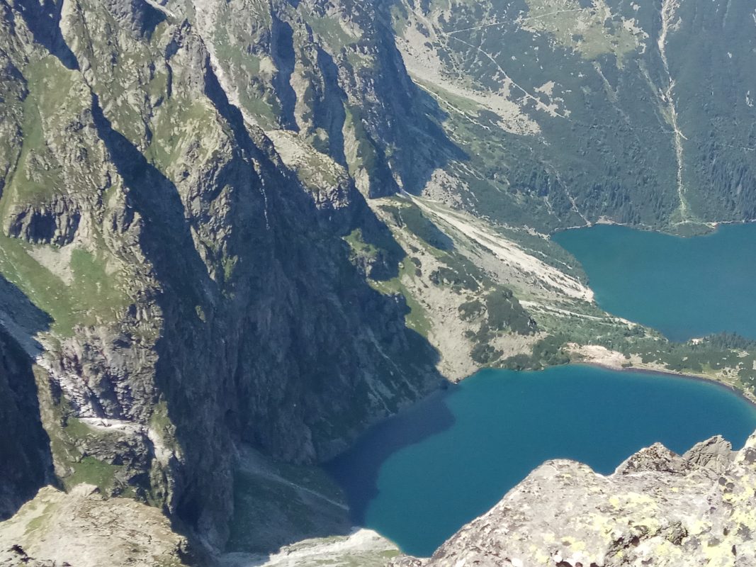 Image #5 from תמיר