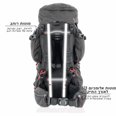 שלדת אלומניום